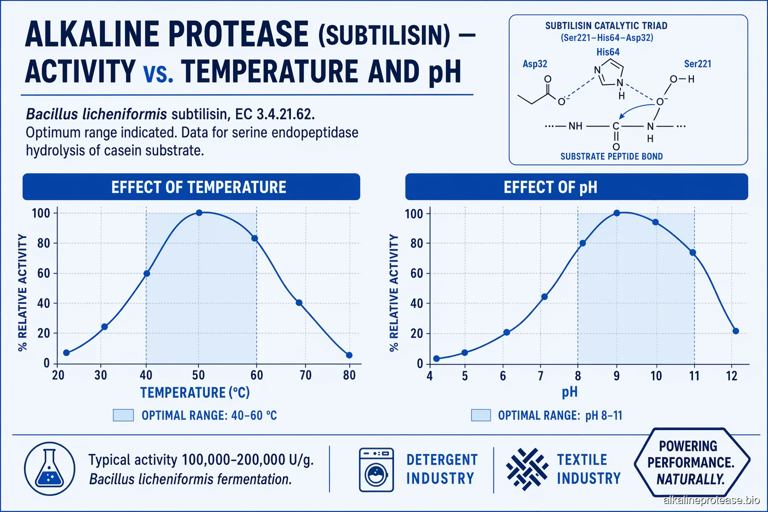 Alkaline Protease reaction rate vs temperature and pH — bell curves with optimal zones shaded